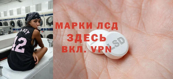 ГАЛЛЮЦИНОГЕННЫЕ ГРИБЫ Аркадак