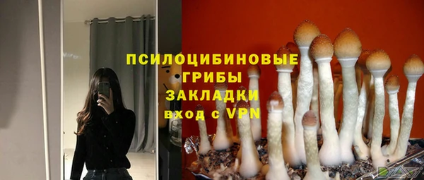 ГАЛЛЮЦИНОГЕННЫЕ ГРИБЫ Аркадак