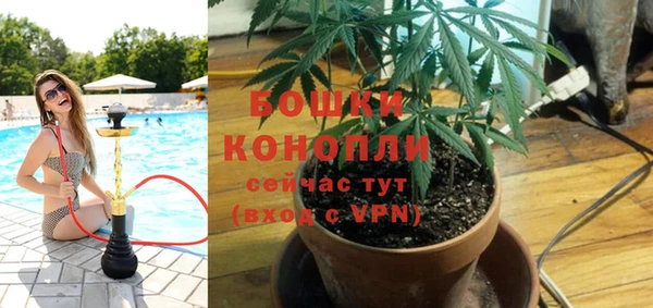 ГАЛЛЮЦИНОГЕННЫЕ ГРИБЫ Аркадак