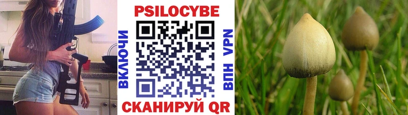 закладки  Поронайск  Галлюциногенные грибы мухоморы 